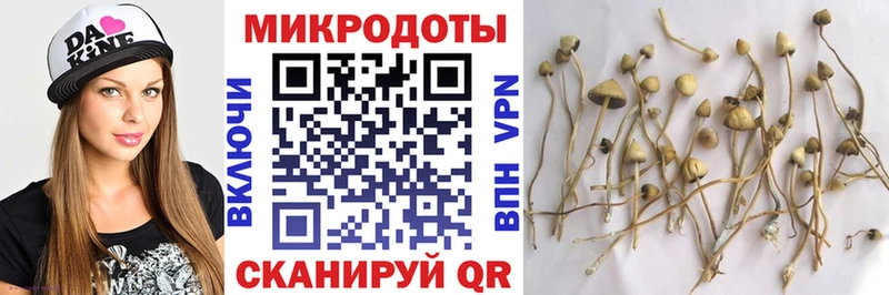 Псилоцибиновые грибы мухоморы  shop состав  Гдов 